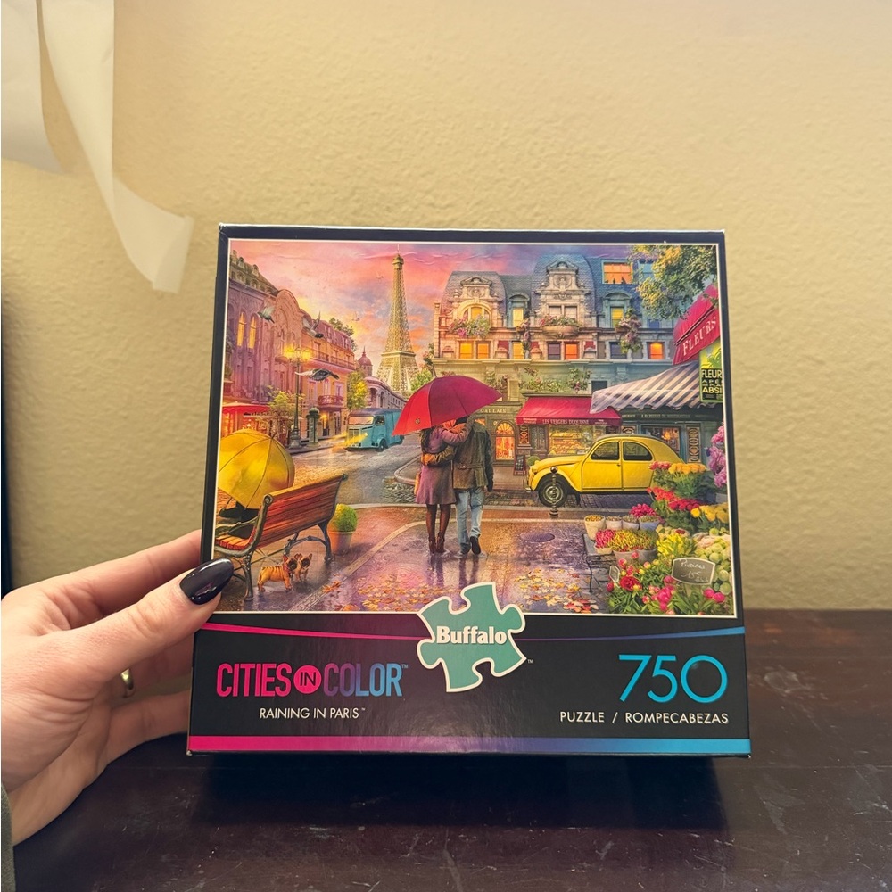 750 Piece Puzzle Buffalo "Raining in Paris" Cities in Color Collection
